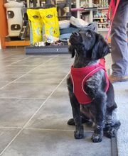 ZOOMALIA Foix 09 | Animalerie image 5