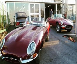 Sellerie Auto image 2