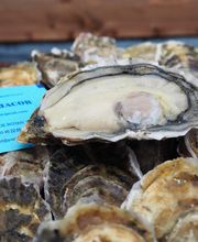 Papin Jacob EARL image 1