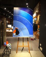 VANS Store Barcelona Portaferrissa imagen 3