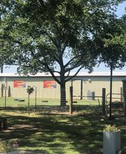 Pet's Choice Animal Hospital image 5