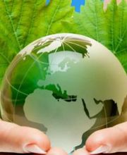 Net'service image 12