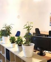 Raum mit Regal und mehreren Pflanzen. Dahinter erkennt man mehrere Arbeitsplätze.