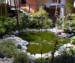 Exo Jardins SARL image 7