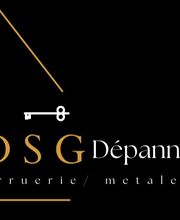 DSG dépannage image 1
