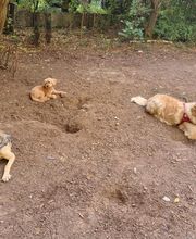 Martin Hofmann Bild 11