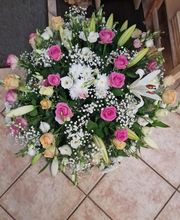 Bouton d'Or image 12