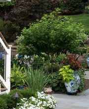 Distinctive Lawn & Landscape image 1