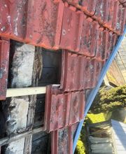 Specht Lenfant Warren image 8