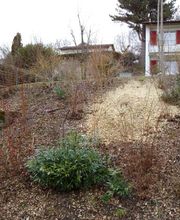 GMH Gartengestaltung Bild 9