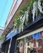 Succulentes & Orchidees image 14