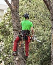 Allais et Fils image 1