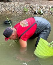 Daniel Teichpflanzung