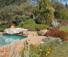 C.Provence paysage image 8