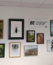 Artlabs Sainte-Luce image 3