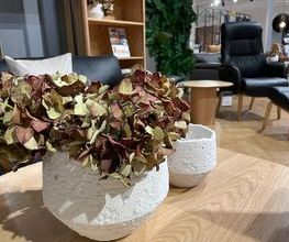 ILVA Lyngby billede 4