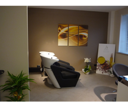 Gallery Cliente