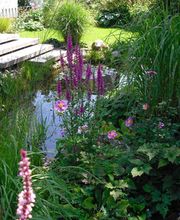 Eickenberg Moritz Bild 6