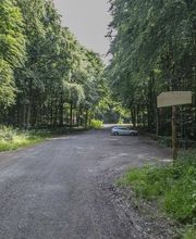 FriedWald Bad Berka Bild 10