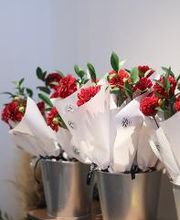 Vignolo Floral Studio | Floristería Chamartín imagen 3