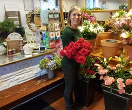 Blumen Advena Bild 2