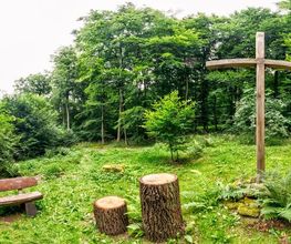 FriedWald Lauterbach Bild 8