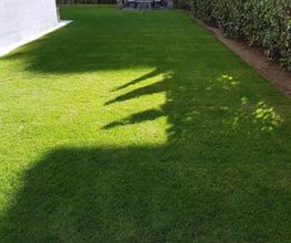 BaumGärtner - Giardini Bild 3