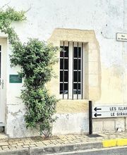 Fajol-Molina Stéphanie image 2