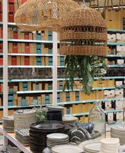 Centrakor Chatte image 6