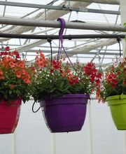 Serres De Raujolles GAEC image 1