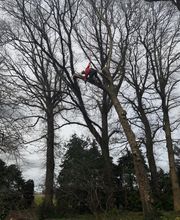 Gwezenn Elagage SARL image 10