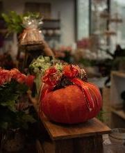 Frischmärit Bichsel (Blumen, Früchte & Gemüse) Bild 7