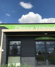 Vet 02 Selarl image 5