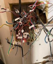 EI - Fau Ludovic image 2