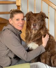 Hundephysio Fitplus Bild 4