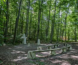 FriedWald Bad Berka Bild 9