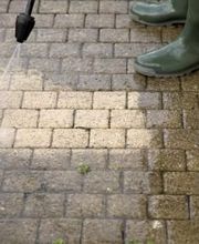 Net'service image 10