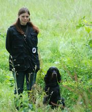 Pension Canine Coralicia image 3