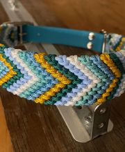 Détente Canine image 5