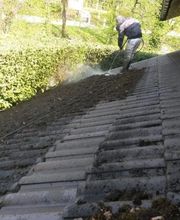 Satory François image 1