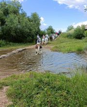 Centro Ecuestre Miguel Benítez-Cano imagen 3