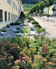 Arifi Gartenbau GmbH Bild 2