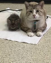 West Park Veterinary Services image 12