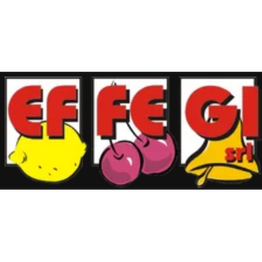 Effegi logo