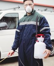 Perigordine de Nettoyage image 1