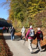 Pro Senectute pour les + 60 ans Bild 1