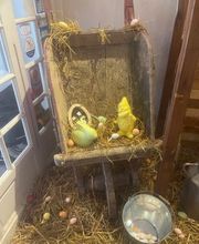 La Remise De Tantine image 9