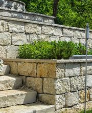 Schneebeli Blumen & Garten Bild 11