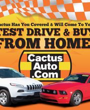 Cactus Auto image 19