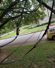 Dailey Company, Inc. image 5